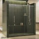 Enigma Sliding Shower Door