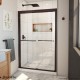 Duet Plus Bypass Sliding Shower Door