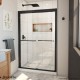 Duet Plus Bypass Sliding Shower Door