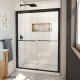 Duet Plus Bypass Sliding Shower Door