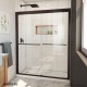 Duet Plus Bypass Sliding Shower Door