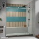 Enigma-X Sliding Shower Door