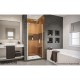 Elegance-LS Frameless Pivot Shower Door