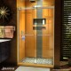 Sapphire Shower Door