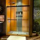 Sapphire Shower Door