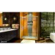Sapphire Shower Door