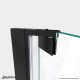 Elegance Plus Shower Door with 30 in. Inline Panel