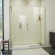 DreamLine Ascend Frameless Pivot Shower Door 56-65 1/2