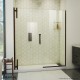 DreamLine Ascend Frameless Pivot Shower Door 56-65 1/2