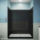 DreamLine QWALL-VS 56-60 in. W x 41 in. D x 76 in. H Acrylic Backwall Kit