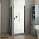 Alliance Swing BG Shower Door