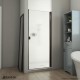Alliance Swing BG Shower Door