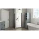 Alliance Swing BG Shower Door