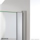 Alliance Swing BG Shower Door