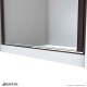 Alliance Swing BG Shower Door