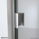 Alliance Swing BG Shower Door