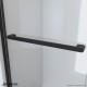 Charisma-X Bypass Shower Door