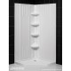SlimLine 36 - 42 in. x 36 - 42 in. Neo-Angle Shower Base and QWALL-2 Shower Backwall Kit